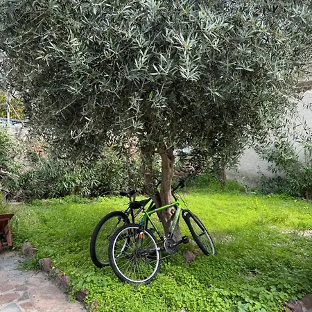 By The Sea In Vathy Methana Semesterbostad *